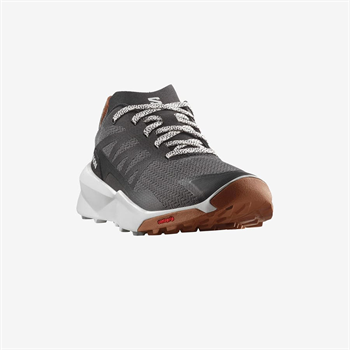 Salomon Petrol Outdoor Ayakkabı