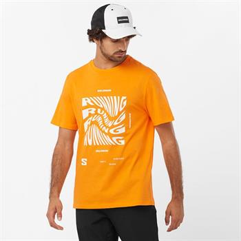 Salomon Running Graphic Erkek Tişört