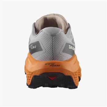 Salomon Ultra Flow 2 Gore-Tex Erkek Koşu Ayakkabısı