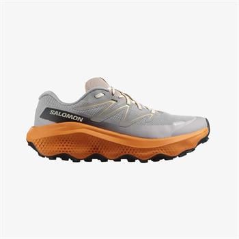 Salomon Ultra Flow 2 Gore-Tex Erkek Koşu Ayakkabısı