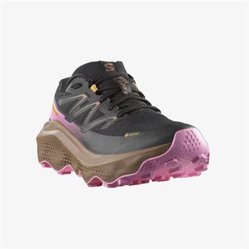 Salomon Ultra Flow 2 Gore-Tex Kadın Koşu Ayakkabısı