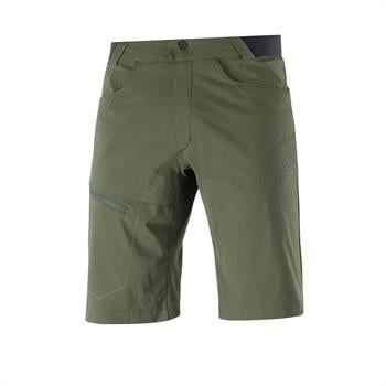Salomon Wayfarer Erkek Şort