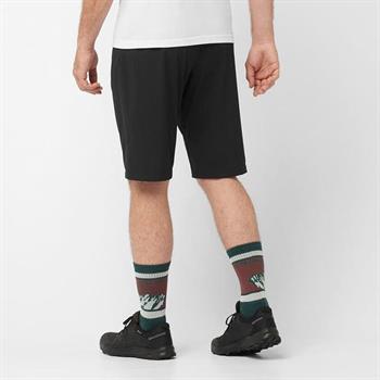 Salomon Wayfarer Erkek Şort