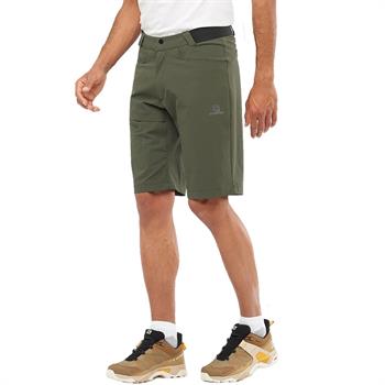 Salomon Wayfarer Erkek Şort