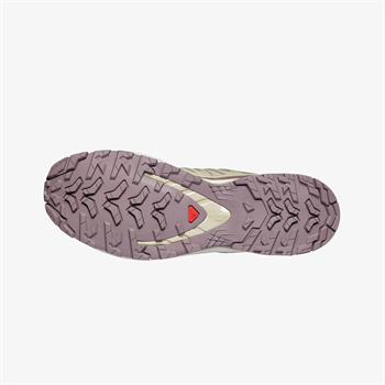 Salomon XA Pro 3D V9 Lifelong Erkek Outdoor Ayakkabı