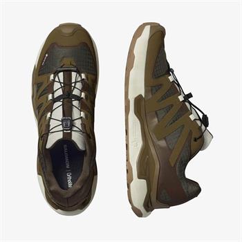 Salomon XC Roam Gtx Erkek Outdoor Ayakkabı