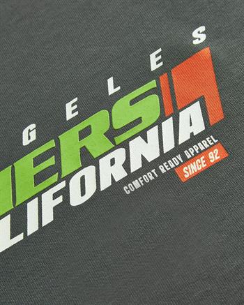 Skechers Graphic Tee Heavy Weight Oversize Erkek Tişört