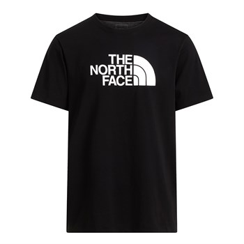 The North Face Evolution Half Dome Regular SS Erkek Tişört