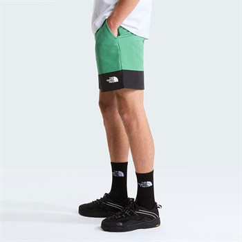 The North Face Leynar Erkek Şort