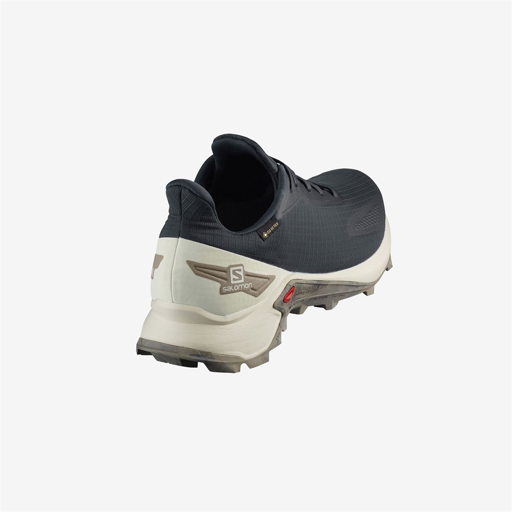 Salomon Alphacross Blast Gtx Erkek Outdoor Ayakkabı - 411054