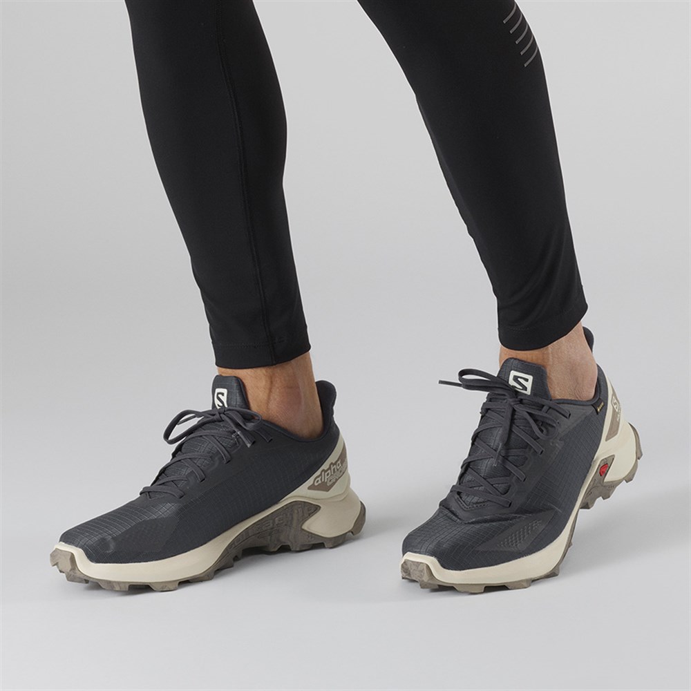Salomon Alphacross Blast Gtx Erkek Outdoor Ayakkabı - 411054