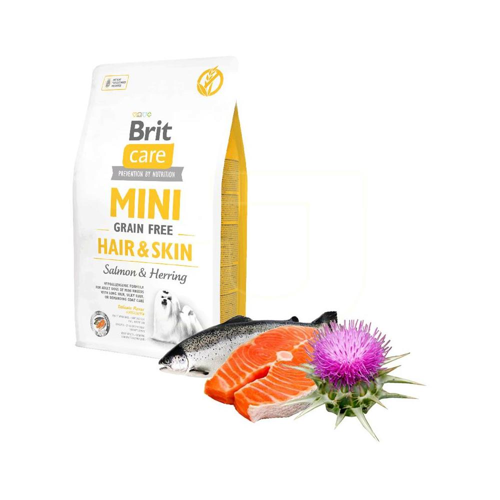 Brit Care Mini Hair Skin Somonlu Köpek Maması 2 kgBrit Care