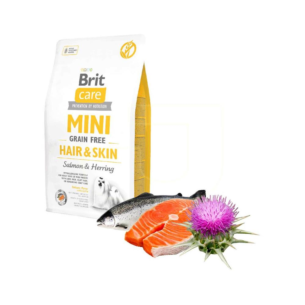Brit Care Mini Hair Skin Somonlu Köpek Maması 2 kgBrit Care