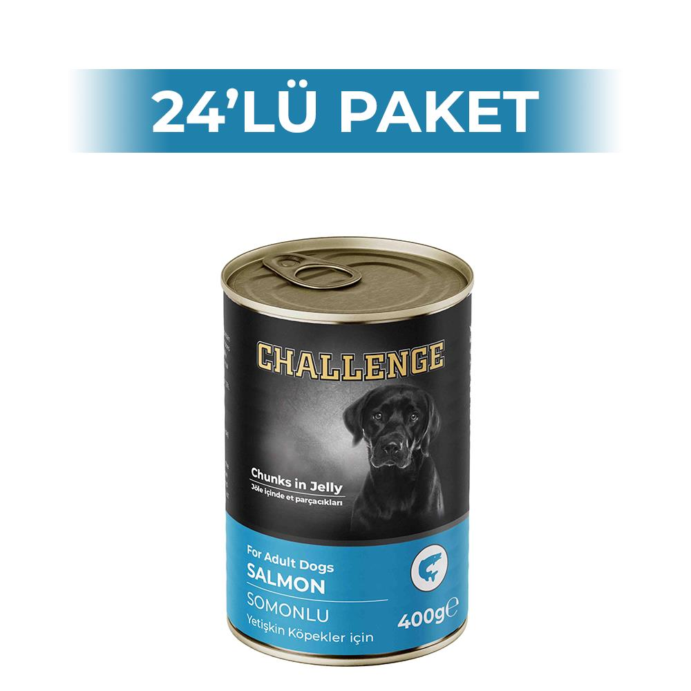Challenge Somon Balıklı Yetişkin Köpek Konservesi 400 gr 24 AdetChallenge