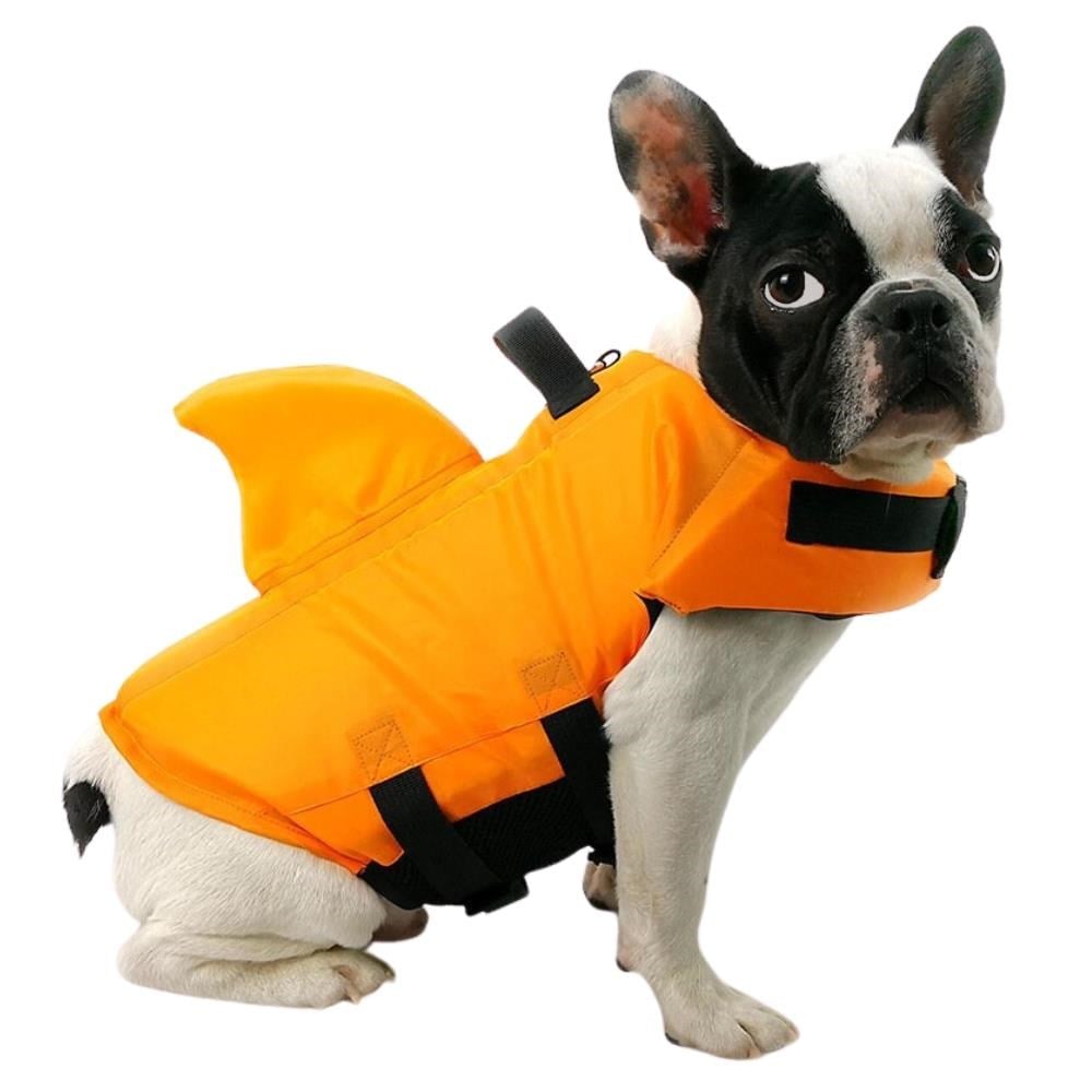Lion Shark Köpek Can Yeleği MLion