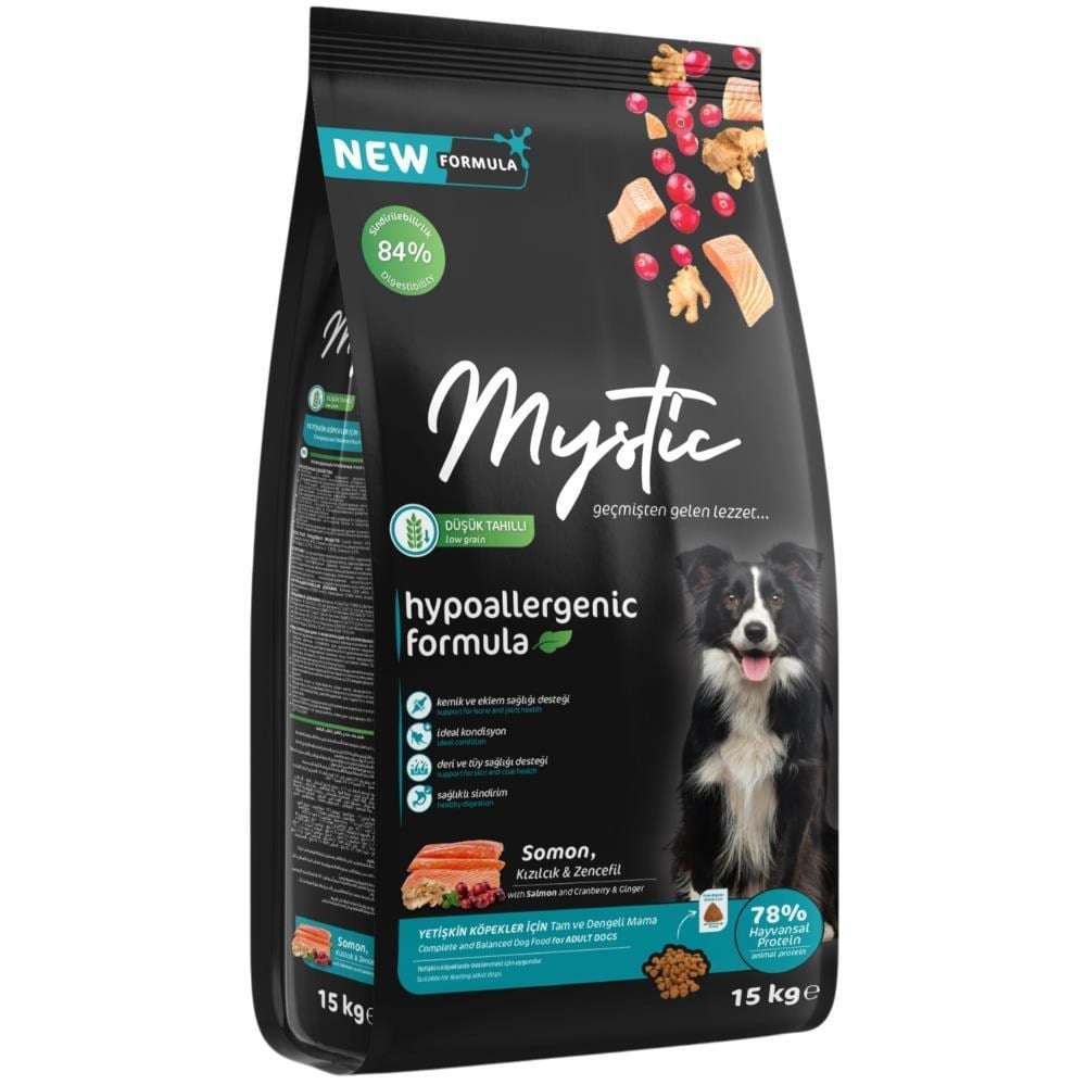 Mystic Somonlu Yetişkin Köpek Maması 15 kgMystic 