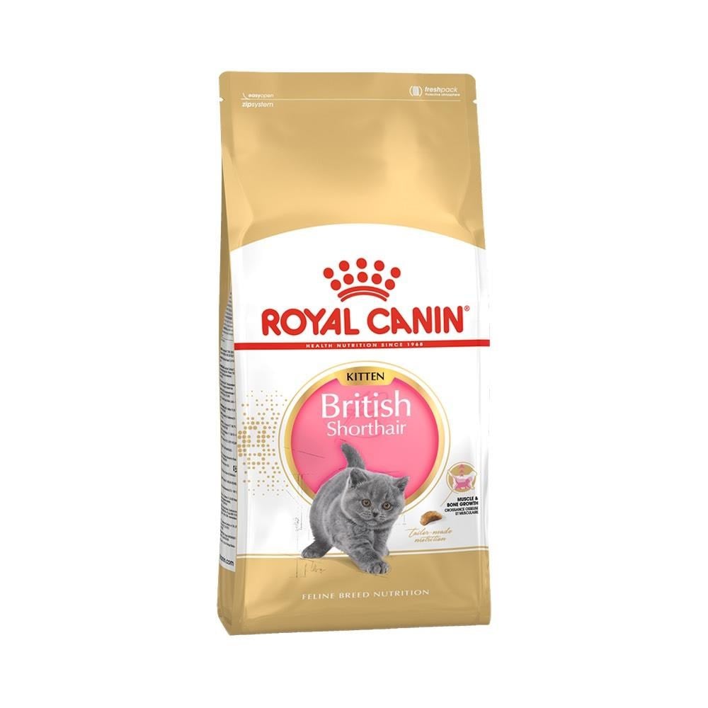Royal Canin British Shorthair Kitten Yavru Kedi Maması 2 kgRoyal Canin
