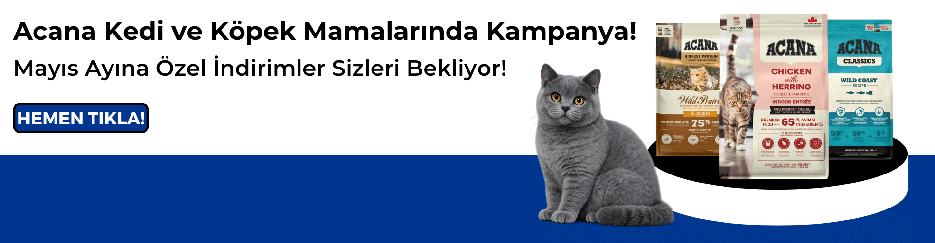 Acana Mamalarında Kampanya