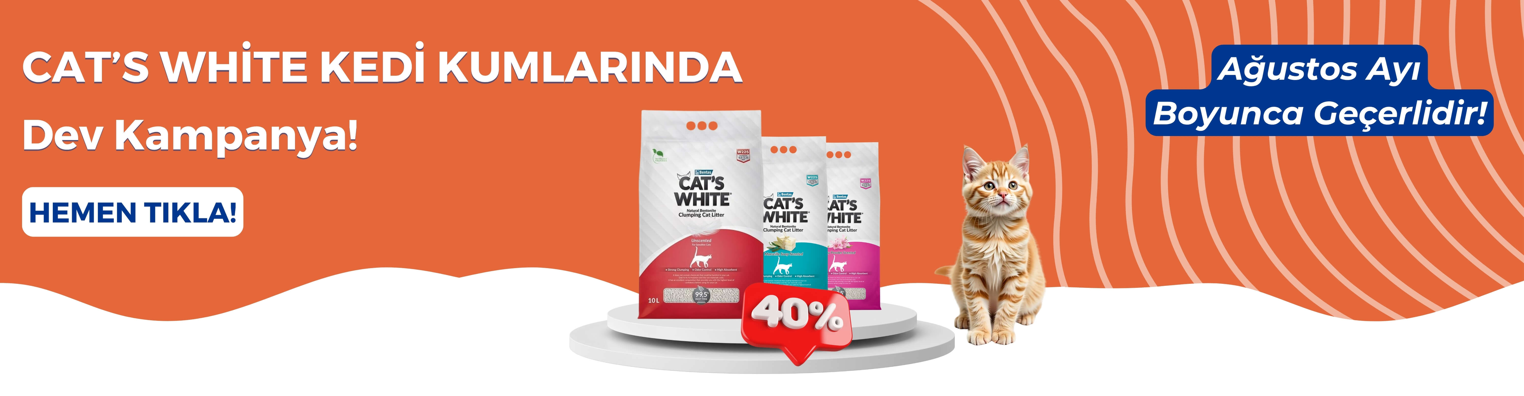 Cat's White Kedi Kumlarında Kampanya