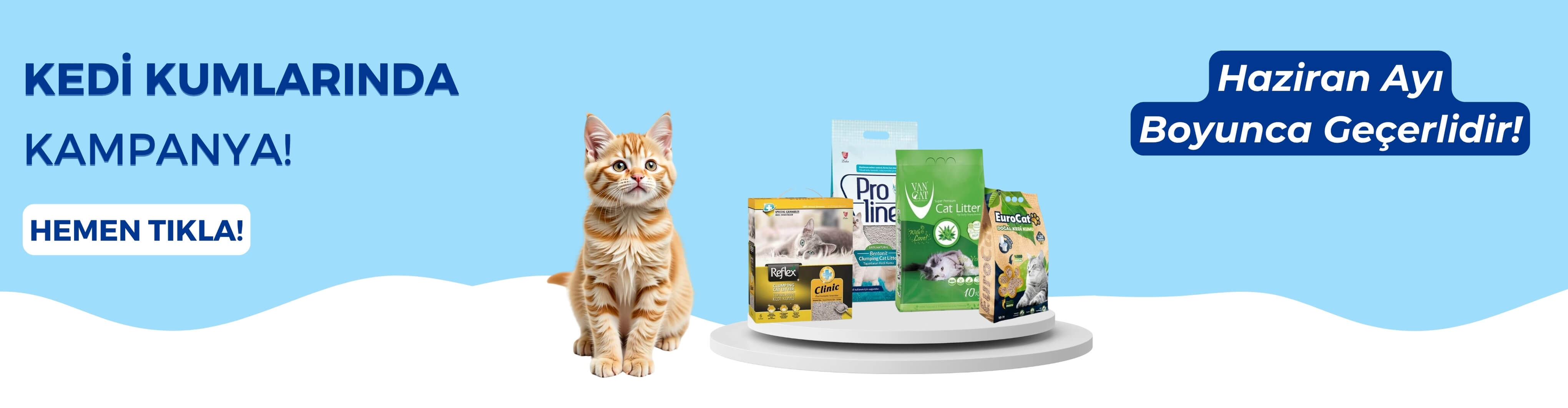 Kedi Kumlarında Kampanya