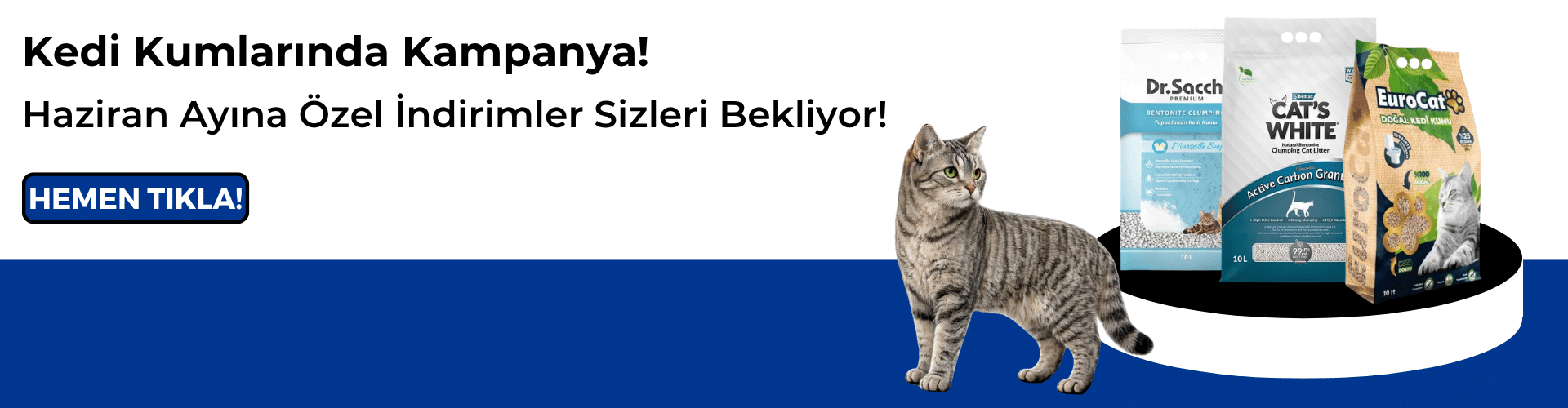 Kedi Kumlarında Kampanya!