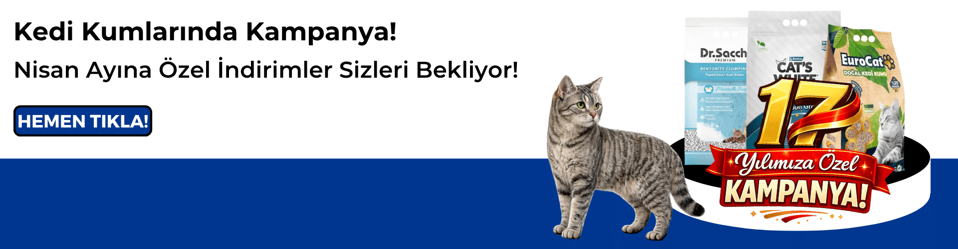 Kedi Kumlarında Kampanya!