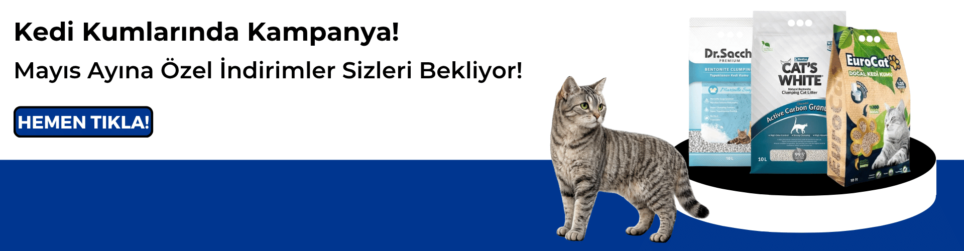 Kedi Kumlarında Kampanya!