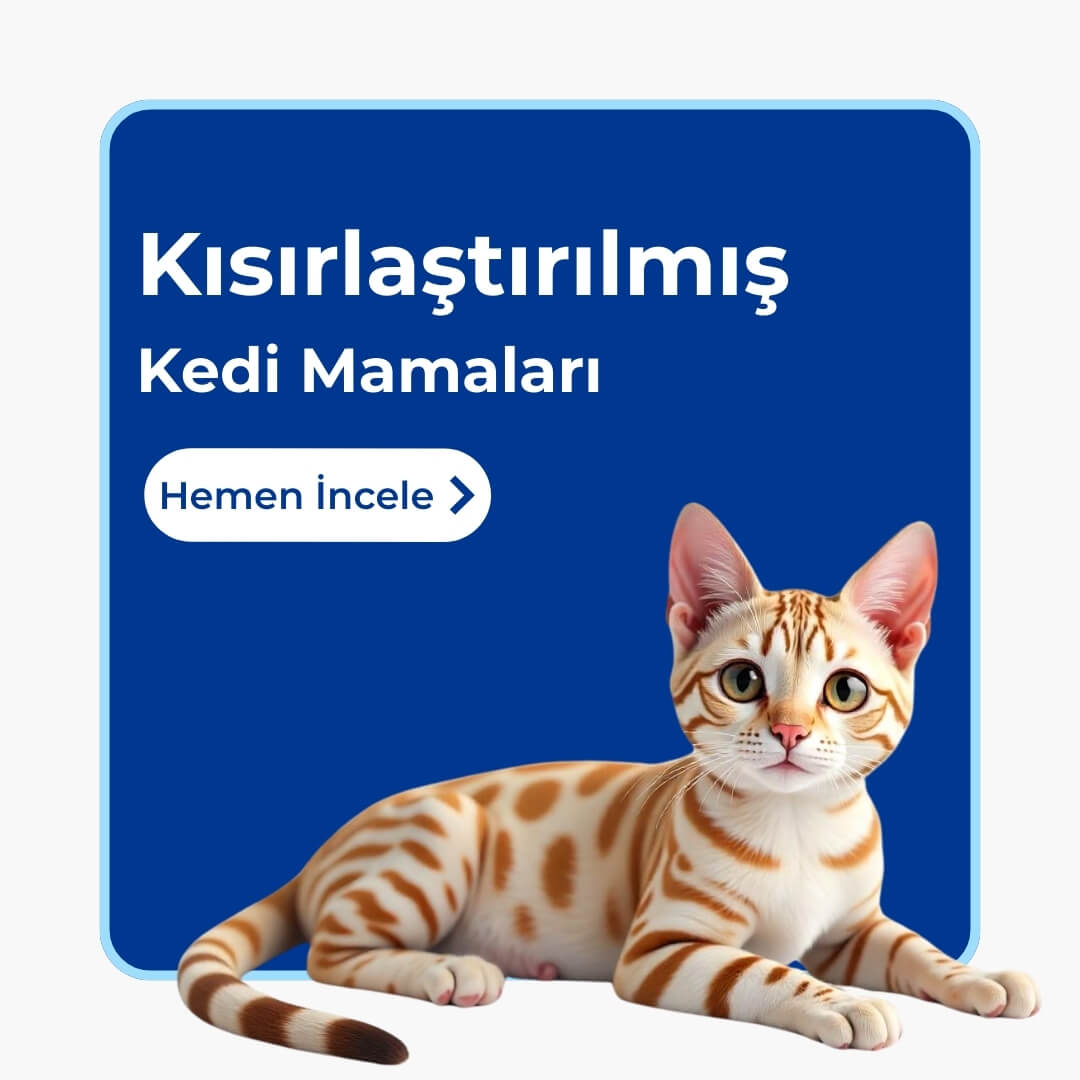 Kısır Kedi Mamaları