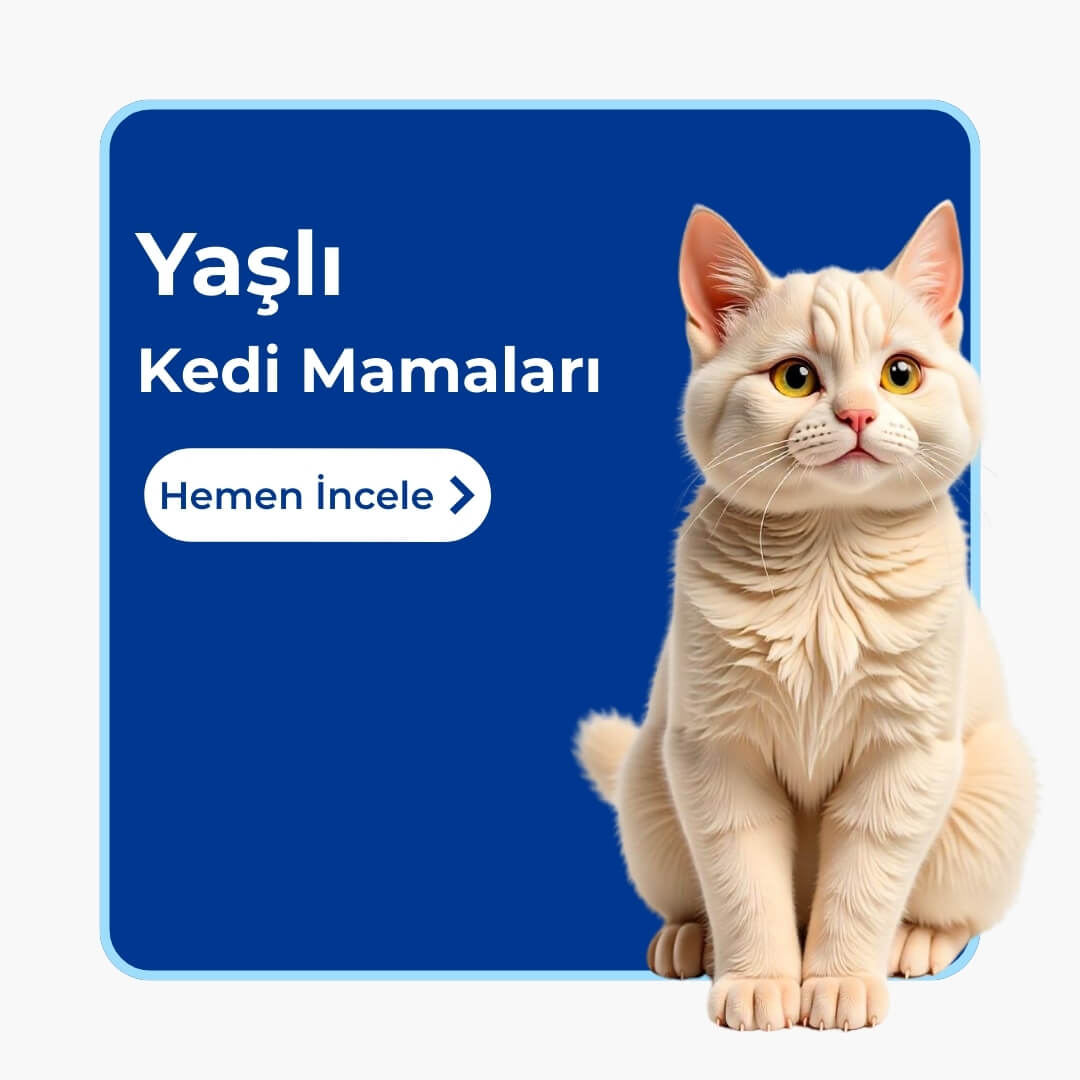 Yaşlı Kedi Mamaları