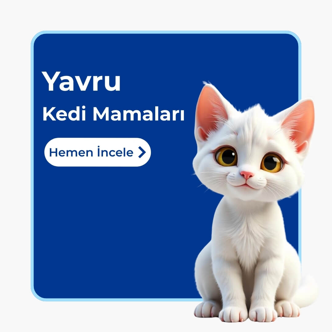 Yavru Kedi Mamaları