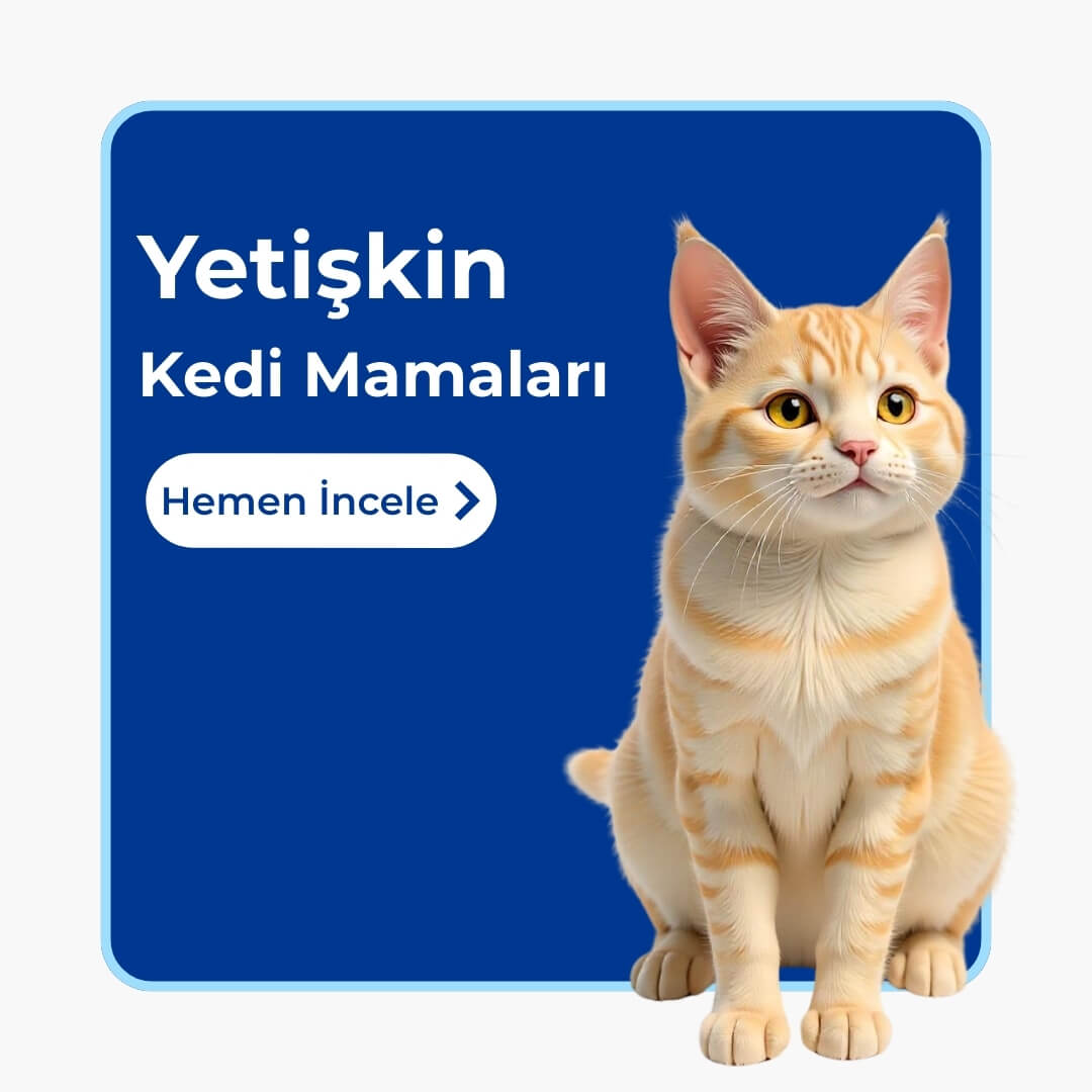 Yetişkin Kedi Mamaları