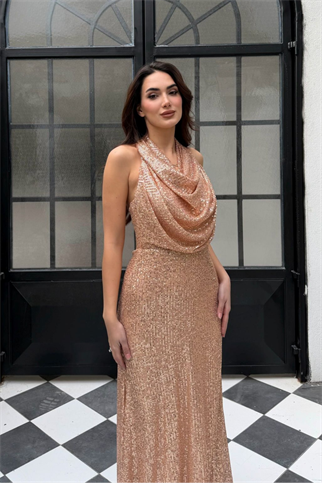 Berrak Payet İşleme Degaje Yaka Abiye 1089