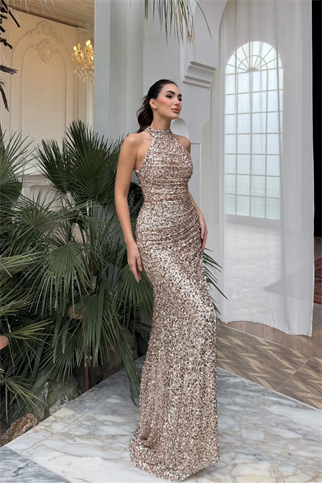 Carolina Dik Yaka Payet Yırtmaç Detay Abiye 1175