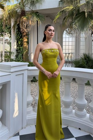 Ayda Straplez Taş İşlemeli Abiye 1059