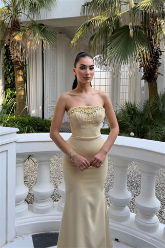 Ayda Straplez Taş İşlemeli Abiye 1059