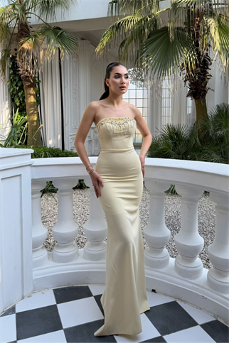 Ayda Straplez Taş İşlemeli Abiye 1059