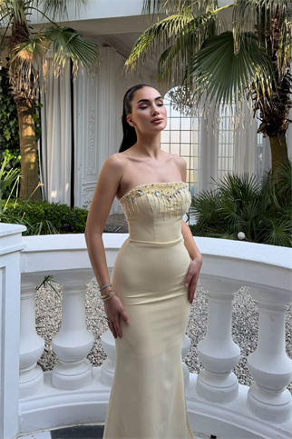 Ayda Straplez Taş İşlemeli Abiye 1059