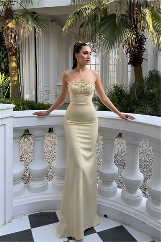 Ayda Straplez Taş İşlemeli Abiye 1059