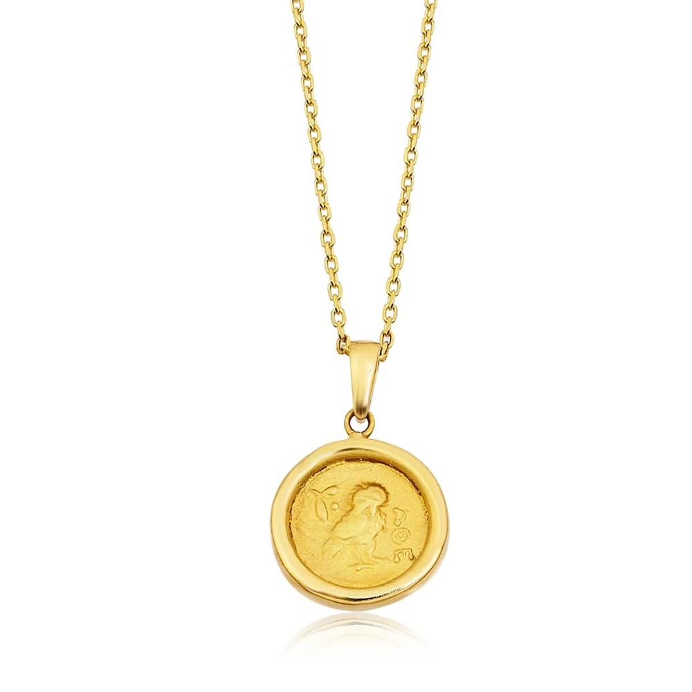 Penny Baykuş Coin Kolye