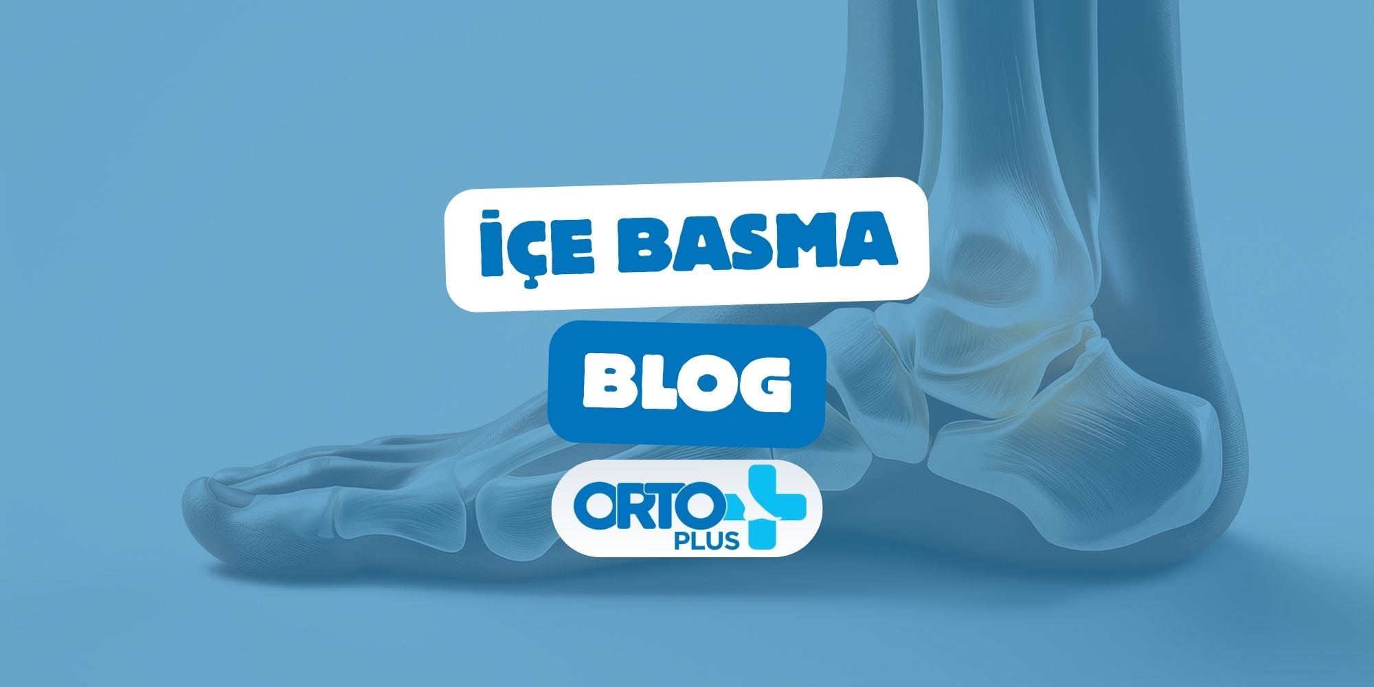 İçe Basma