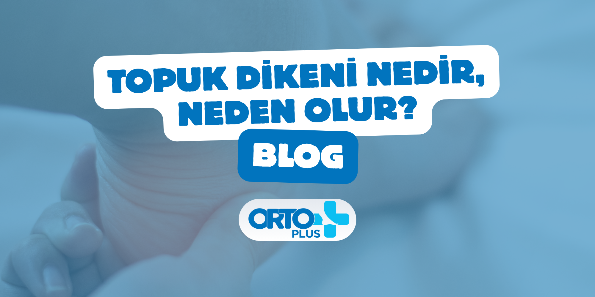 topuk dikeni blog