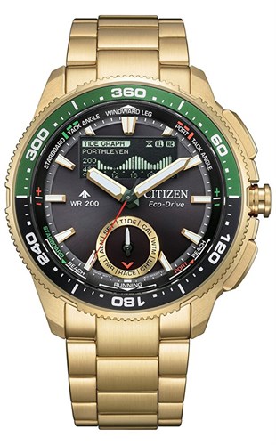 Citizen JV3002-51E Eco-Drive Erkek Kol Saati