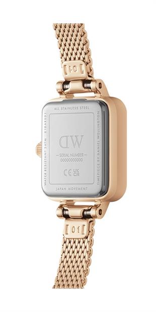 Daniel Wellington DW00600651 Kadın Kol Saati
