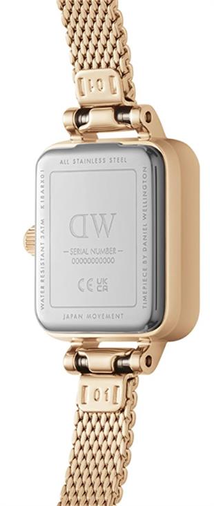 Daniel Wellington DW00600647 Kadın Kol Saati