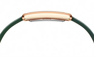 Daniel Wellington DW00600694 Kadın Kol Saati