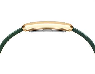 Daniel Wellington DW00600695 Kadın Kol Saati