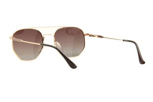 Dexter Z19-011-01 50 Polarize Unisex Güneş Gözlüğü