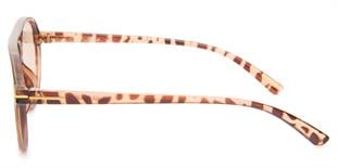 Falenti AE31155-C3 53 Unisex Güneş Gözlüğü
