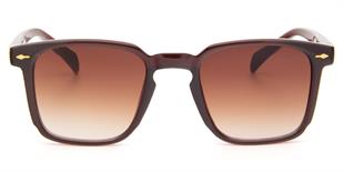 Falenti AE981-C2 49 Unisex Güneş Gözlüğü