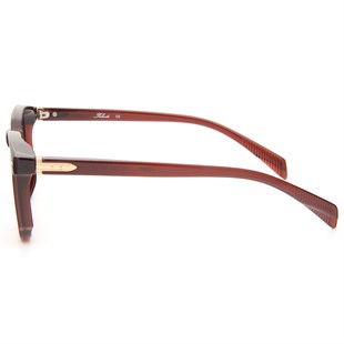 Falenti AE981-C2 49 Unisex Güneş Gözlüğü